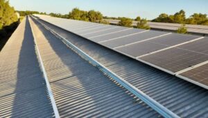 Energía solar para avícolas-Carnave-4